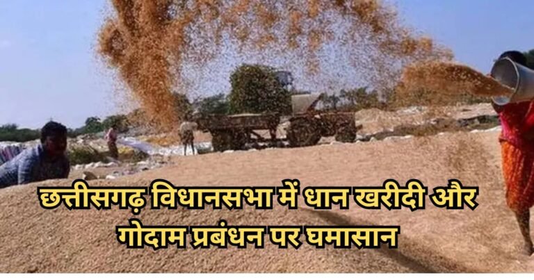 विधानसभा में गूंजा धान खरीदी घोटाले का मुद्दा, विधायक ब्यास कश्यप ने उठाए कस्टम मिलिंग और भंडारण पर सवाल